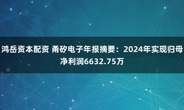 鸿岳资本配资 甬矽电子年报摘要：2024年实现归母净利润6632.75万