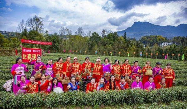 稳拿证券 利川：长顺坝的蓝与流