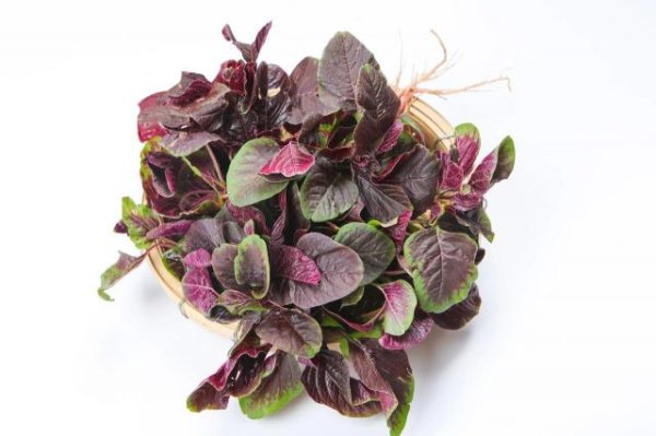 旭胜配资 它是“平价护眼菜”，越吃眼睛越明亮！还能补钙、抗衰老，现在正上市！