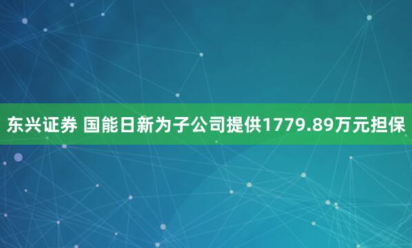 东兴证券 国能日新为子公司提供1779.89万元担保