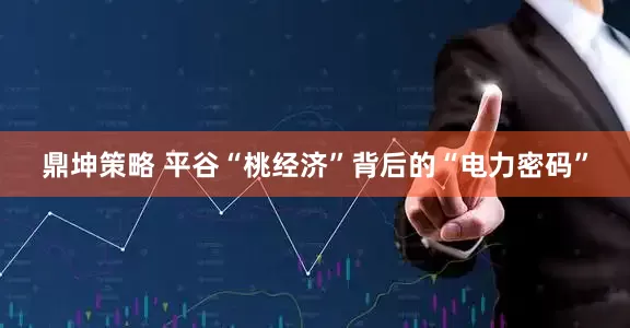 鼎坤策略 平谷“桃经济”背后的“电力密码”